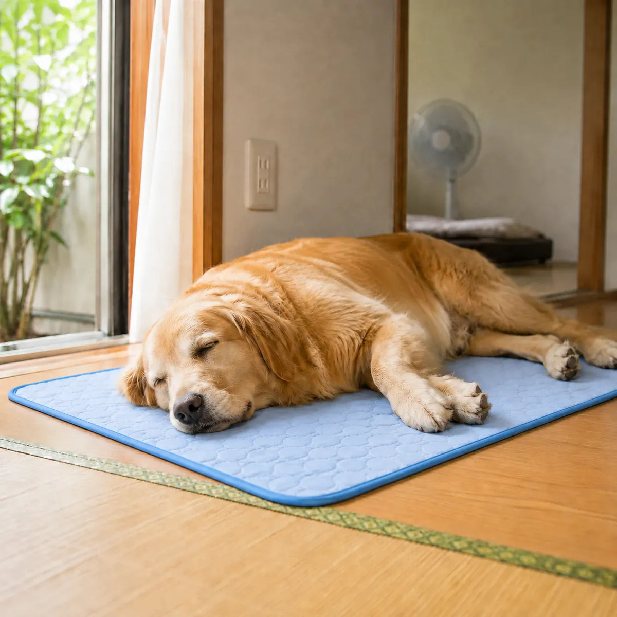 CoolPet Mat™