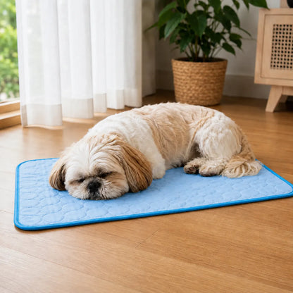 CoolPet Mat™