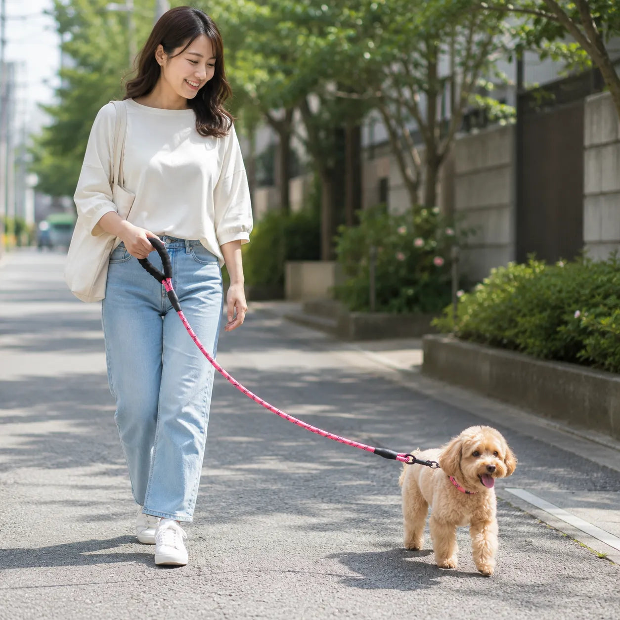 PetWalk™ 反射付きおさんぽリード